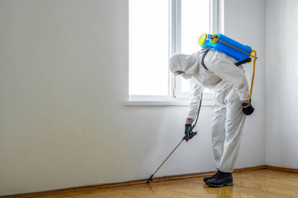 Best Local Pest Control Services  in Shreve, OH