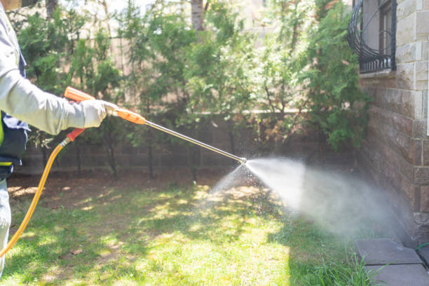 Best Pest Control for Restaurants  in Shreve, OH