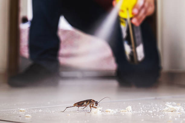 Pest Control for Restaurants in Shreve, OH