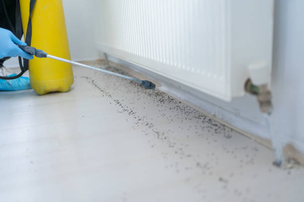 Professional Pest Control in Shreve, OH