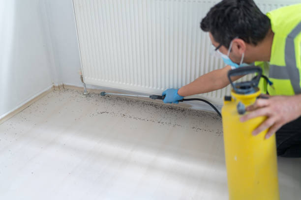 Best Residential Pest Control  in Shreve, OH